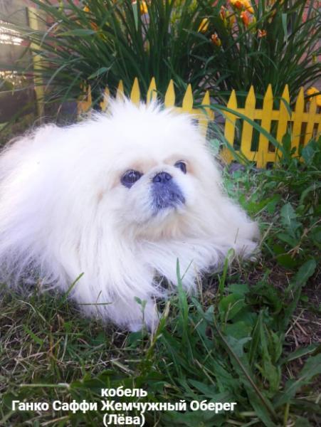 Прикрепленное изображение: post-1010-011146400 1732489160_thumb (1).jpg